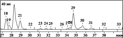 st_single1