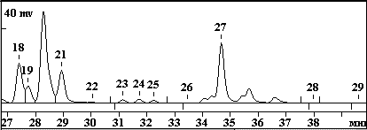 st_single2